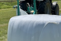 IMG_4464