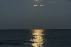 IMG_4467